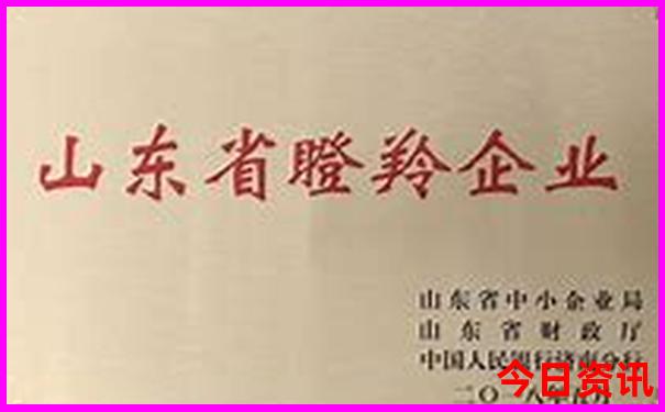 夏天去那个城市最凉快